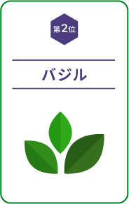 【第2位】バジル